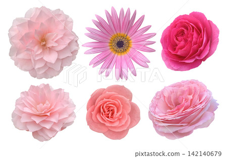 Pink flower clippings, such as roses. Pink flower clippings, such as roses. 142140679