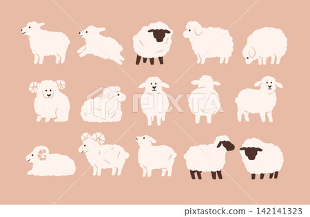 Minimal Fluffy Sheep Various Poses Illustration Set 142141323