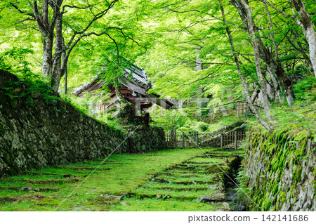 [滋賀縣東近江市] 百齋寺：苔蘚覆蓋的大門和新鮮的綠植，景色令人驚嘆。 142141686