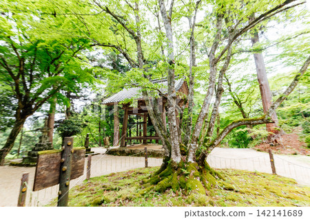 [Higashiomi City, Shiga Prefecture] Hyakusaiji Temple: Bell Tower and Thousand-Year-Old Bodhi Tree 142141689