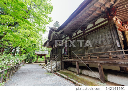 [Higashiomi City, Shiga Prefecture] Hyakusaiji Temple: Bell tower, main hall, and fresh greenery 142141691