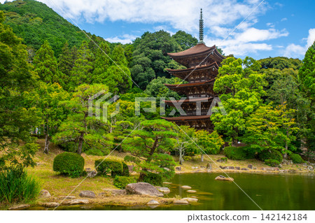 夏季的琉璃光寺五重塔(山口縣) 夏季的琉璃光寺五重塔(山口縣) 142142184