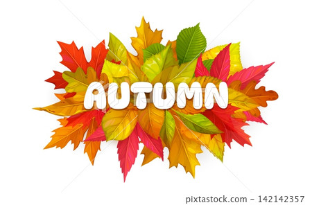 Hello Autumn fall season banner with bunch of bright forest leaves of maple or oak tree foliage. Hello autumn seasonal greeting card quote with green, yellow and orange leaf of birch, rowan or elm 142142357