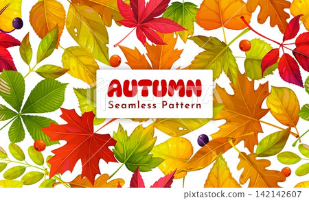 Autumn fall season leaves seamless pattern background with chestnut, maple and oak tree leaf. Autumn leaves pattern background with seasonal fall foliage of walnut or acorn bright leaves and berries Autumn fall season leaves seamless pattern background with chestnut, maple and oak tree leaf. Autumn leaves pattern background with seasonal fall foliage of walnut or acorn bright leaves and berries 142142607