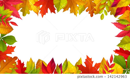 Autumn fall season leaves frame. Vibrant leaves frame template with red maple, yellow oak, chestnut and green birch leaves for Thanksgiving greeting cards, autumn sale banners and holiday invitations Autumn fall season leaves frame. Vibrant leaves frame template with red maple, yellow oak, chestnut and green birch leaves for Thanksgiving greeting cards, autumn sale banners and holiday invitations 142142963