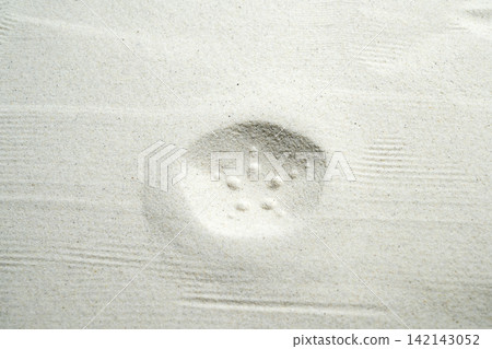 Minimalist overhead view of a starfish imprint left in fine, white sand on a beach, creating a serene and zen-like texture. Summer, natural or texture background 142143052