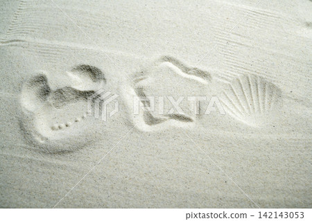 Imprints of a crab, starfish, and seashell pressed into fine white sand, creating a textured beach background. Summer, natural or texture background Imprints of a crab, starfish, and seashell pressed into fine white sand, creating a textured beach background. Summer, natural or texture background 142143053