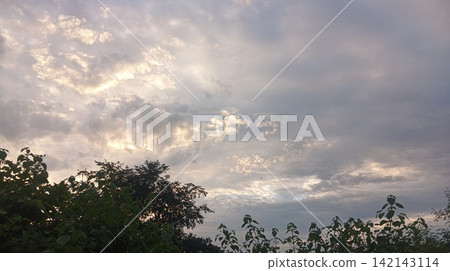 beautiful sunset with clouds and sky 142143114