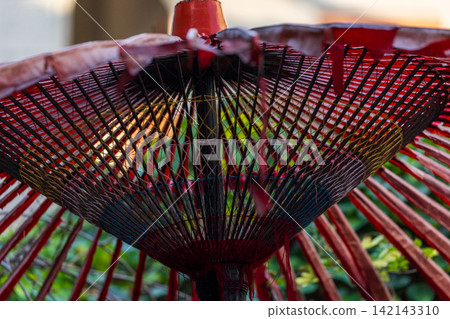 植物間的紅色傳統紙傘 植物間的紅色傳統紙傘 142143310