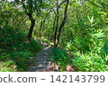 The pilgrimage route to Yashima 142143799