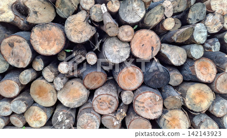 Close Up Stacked Cut Firewood Logs Wooden Texture Close Up Stacked Cut Firewood Logs Wooden Texture 142143923