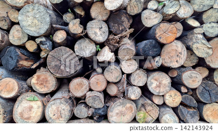 Wood Logs Pile Texture Background for Firewood Supply Wood Logs Pile Texture Background for Firewood Supply 142143924