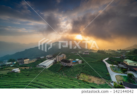 Sunset over tea plantations and mountain village in Alishan, Taiwan Sunset over tea plantations and mountain village in Alishan, Taiwan 142144042