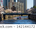 Cherry blossom viewing cruise along the Meguro River during full bloom 142144172