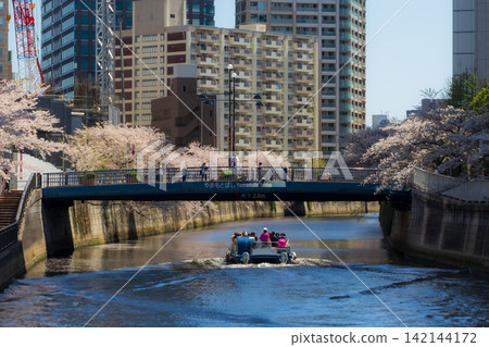 Cherry blossom viewing cruise along the Meguro River during full bloom Cherry blossom viewing cruise along the Meguro River during full bloom 142144172