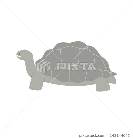 A cute vector illustration of an Aldabra giant tortoise raising its head. 142144645