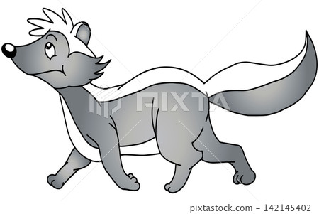 Fun animal illustration ☆ Skunk Fun animal illustration ☆ Skunk 142145402