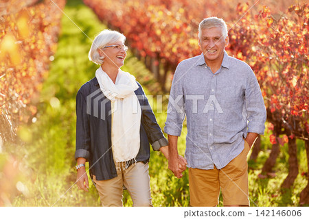 Couple, portrait and walking holding hands in autumn, nature and happy on wine farm in countryside. Mature, man and woman travel on holiday with love or vacation in Italy to relax outdoor in vineyard Couple, portrait and walking holding hands in autumn, nature and happy on wine farm in countryside. Mature, man and woman travel on holiday with love or vacation in Italy to relax outdoor in vineyard 142146006