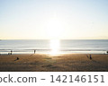 People enjoying the golden sunset from the sandy beach of Enoshima. 142146151