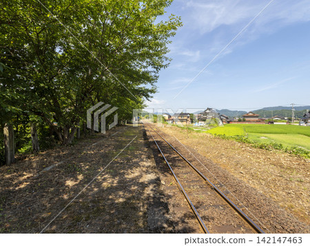 The scenery of Hayabusa Station, with its vibrant new green trees. The scenery of Hayabusa Station, with its vibrant new green trees. 142147463