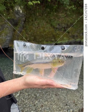 Fish caught with homemade flies Fish caught with homemade flies 142147894