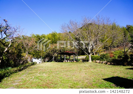 神山友誼森林 神山友誼森林 142148272