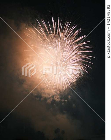 Radiating fireworks at the Kochi City Summer Fireworks Festival Radiating fireworks at the Kochi City Summer Fireworks Festival 142148592