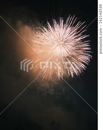 Radiating fireworks at the Kochi City Summer Fireworks Festival Radiating fireworks at the Kochi City Summer Fireworks Festival 142148599