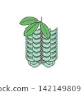 An illustration of the beautiful jade-colored jade vine flower. 142149809