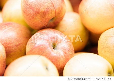 Fresh ripe apples close-up. Fresh ripe apples with a beautiful red-yellow blush. Fruit and vegetable stand. Autumn harvest. Fresh ripe apples close-up. Fresh ripe apples with a beautiful red-yellow blush. Fruit and vegetable stand. Autumn harvest. 142151253