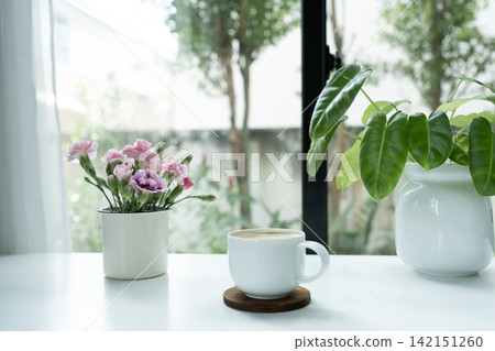 Coffee cup and pink carnation flowers and philodendron plant on white table Coffee cup and pink carnation flowers and philodendron plant on white table 142151260