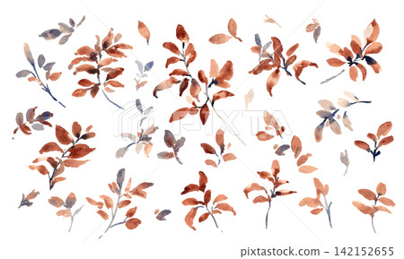 秋季水彩植物插畫套裝 | 秋葉枝條，秋季植物素材 142152655