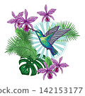 Composition with colibri, tropical foliage 142153177