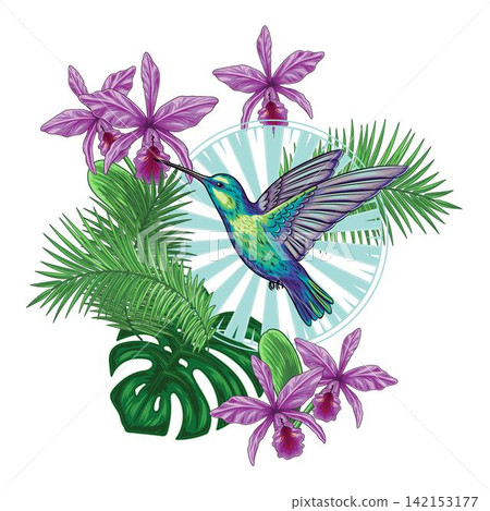 Composition with colibri, tropical foliage 142153177
