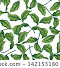 Seamless pattern with scattered sprigs with leaves 142153180