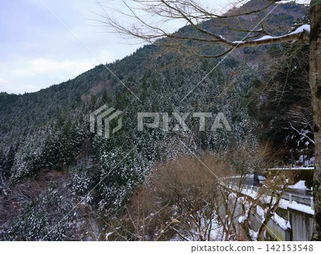 Snow mountain 142153548