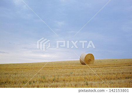Grass, bale and stack of hay in landscape of field from harvest of straw in summer on farm with agriculture. Farming, haystack and grazing collection from sustainable growth in countryside pasture Grass, bale and stack of hay in landscape of field from harvest of straw in summer on farm with agriculture. Farming, haystack and grazing collection from sustainable growth in countryside pasture 142153801