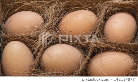 Chicken brown organic free range eggs, farming and quality assurance agriculture concept. Chicken brown organic free range eggs, farming and quality assurance agriculture concept. 142154877
