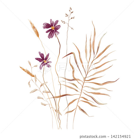 Watercolor Dried Botanical Bouquet with Purple Cosmos, Palm Leaf, Wheat and Wild Grasses on White Background. Hand painted illustration arrangement or composition. For autumn wedding greeting cards Watercolor Dried Botanical Bouquet with Purple Cosmos, Palm Leaf, Wheat and Wild Grasses on White Background. Hand painted illustration arrangement or composition. For autumn wedding greeting cards 142154921
