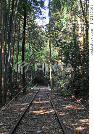 The railway tracks wind through a deep forest, where sunlight filters through the trees, creating a nostalgic landscape adorned with windmills. The railway tracks wind through a deep forest, where sunlight filters through the trees, creating a nostalgic landscape adorned with windmills. 142155165