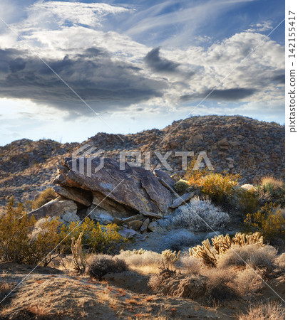 California, desert and landscape with view, enviroment and blue sky for travel or tourism. Nature, mountain and land for cactus, scenery and usa sunshine with summer weather and outdoor harmony California, desert and landscape with view, enviroment and blue sky for travel or tourism. Nature, mountain and land for cactus, scenery and usa sunshine with summer weather and outdoor harmony 142155417