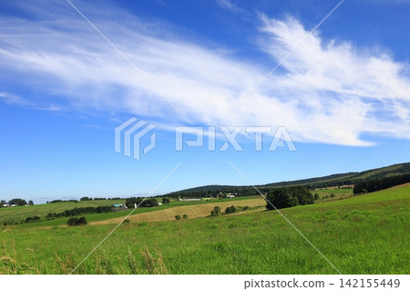 Summer in Hokkaido: Grasslands with summer clouds drifting across them. Summer in Hokkaido: Grasslands with summer clouds drifting across them. 142155449