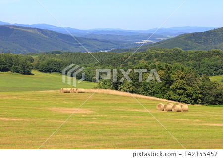 Summer in Hokkaido: Hay bales lined up in pastures on hills overlooking the town. Summer in Hokkaido: Hay bales lined up in pastures on hills overlooking the town. 142155452