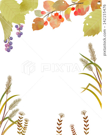 Frame of tree nut 142155476