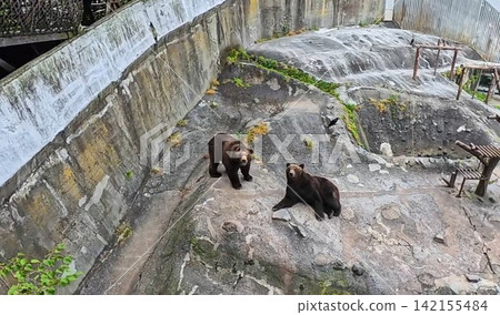 Noboribetsu Bear Ranch Noboribetsu Bear Ranch 142155484