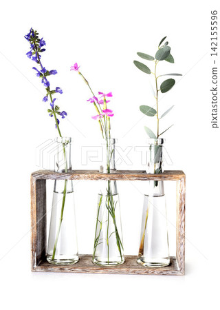plant in test tube plant in test tube 142155596