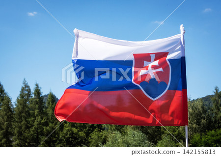 The Slovak flag flutters in the wind The Slovak flag flutters in the wind 142155813