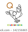 Funny quail. Animals coloring book Alphabet Q 142156865