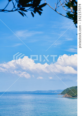 Summer sea viewed from a hilltop Summer sea viewed from a hilltop 142157074