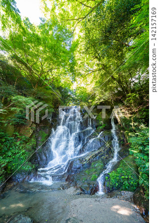 Shiraito Falls, Cascading waterfall surrounded by lush forest in Itoshima, Fukuoka, Japan Shiraito Falls, Cascading waterfall surrounded by lush forest in Itoshima, Fukuoka, Japan 142157169